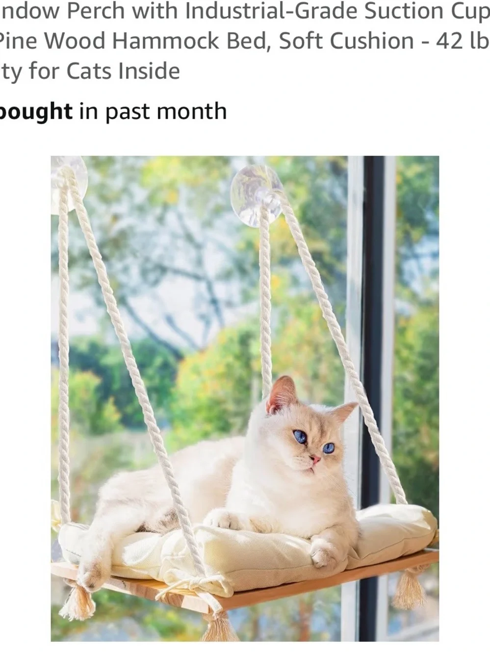Cream Cat Window Hammock Bed with Soft Cushion